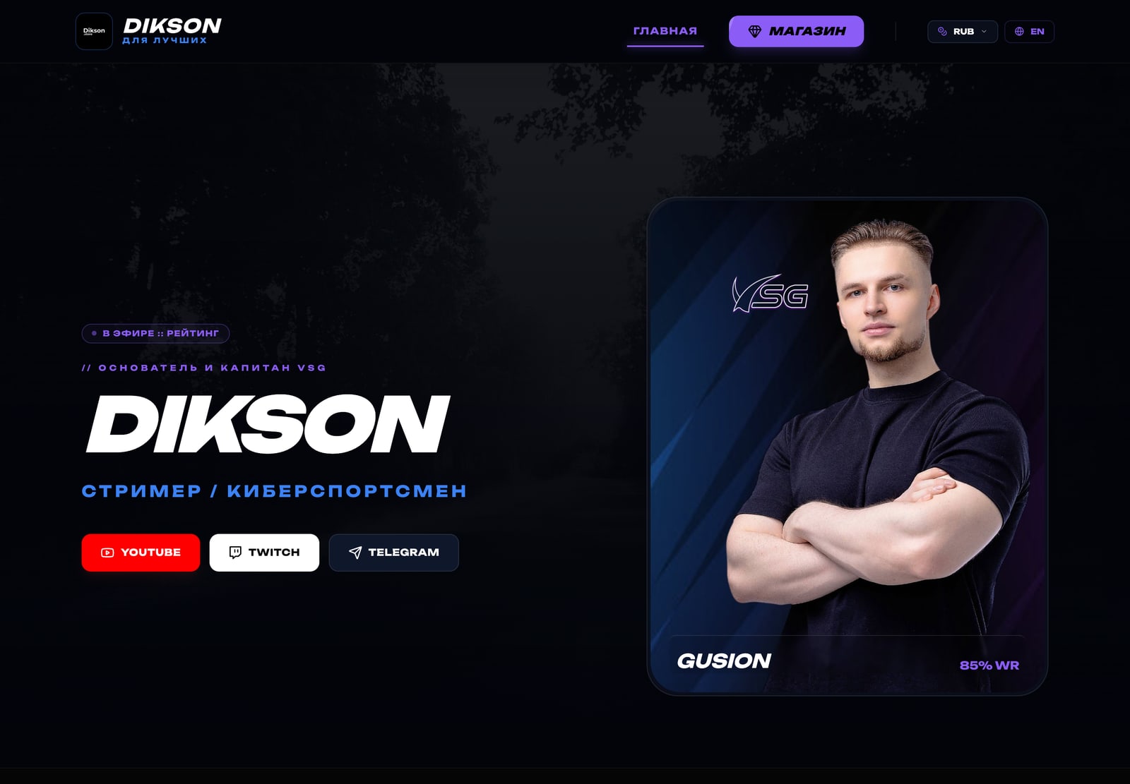 Dikson.store — веб-интерфейс